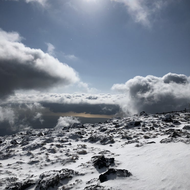  [1월 제주도 한라산 여행] 제주도 한라산 여행 후기, 겨울 한라산 성판악코스