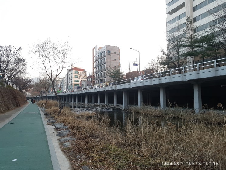 일상 : 도림천 산책 & 일산 웨스턴돔 닭갈비 제작소와 카페베네 일상 : 도림천 산책 & 일산 웨스턴돔 닭갈비 제작소와 카페베네
