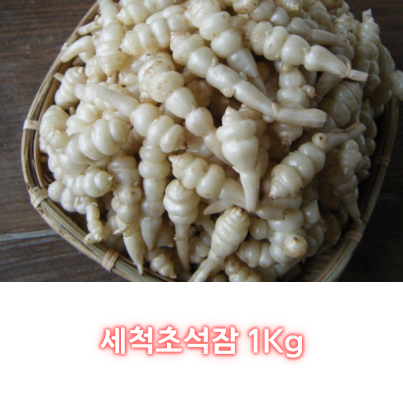 2020 지리산 초석잠 판매가격 & 생초석잠파는곳 14