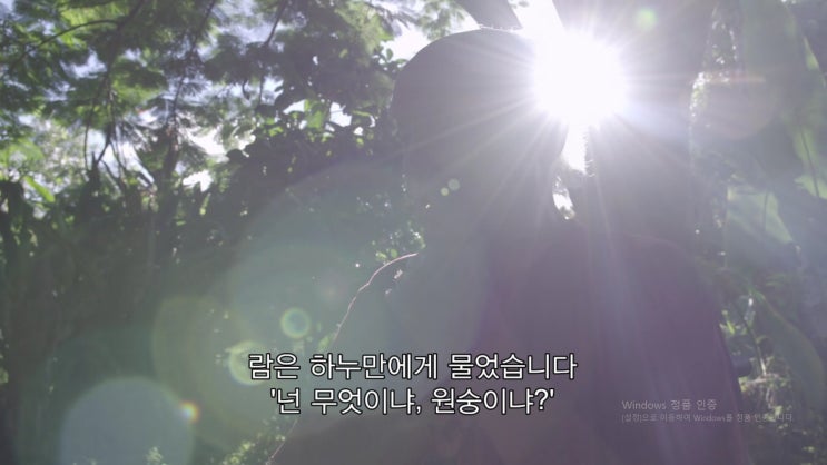  부처님의 보리심과 일반인들의 자비심.