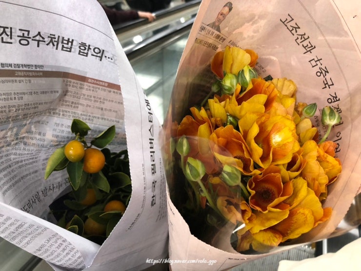 강남 고속버스터미널 화훼상가 꽃시장 겨울 방문 후기, 영업시간, 지하철로 가는 방법