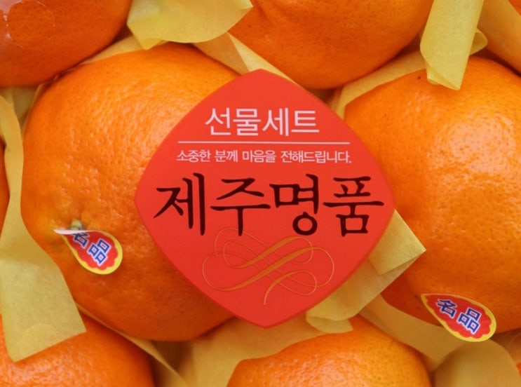  정성 가득한 설선물세트 제주 레드향 후기. 시댁설선물 최고!
