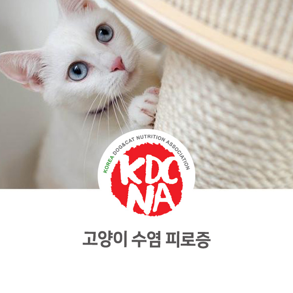  [반려인이 알아야할 정보] 고양이 수염 피로증을 알고계신가요?_37