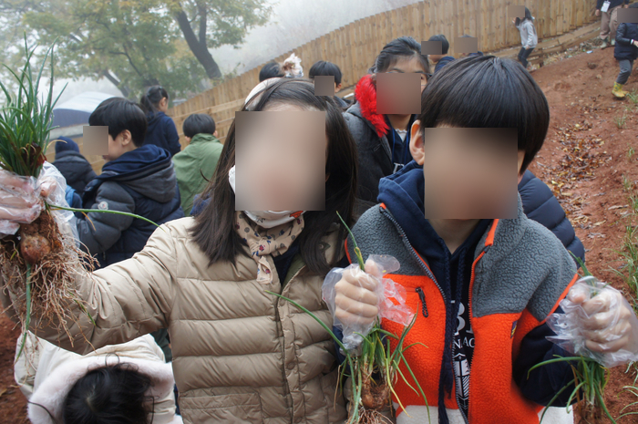  자연주의학교 인천국제학교 미국초등학교 에더블국제학교