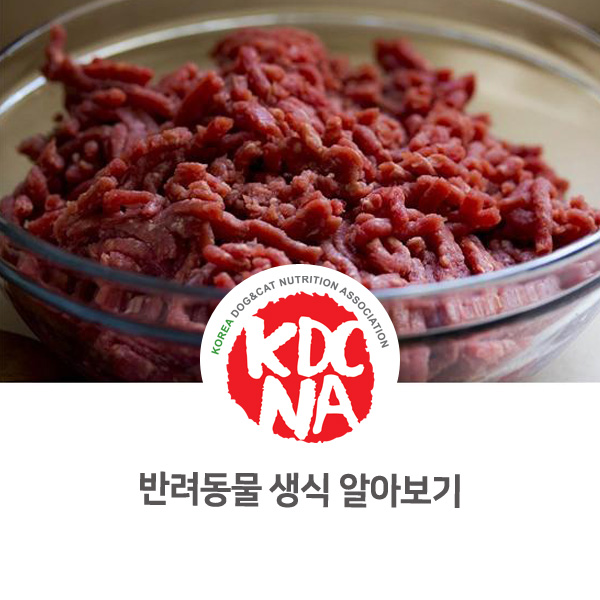  [강아지 고양이 영양 정보] 반려동물 생식의 장단점 알아보기_37