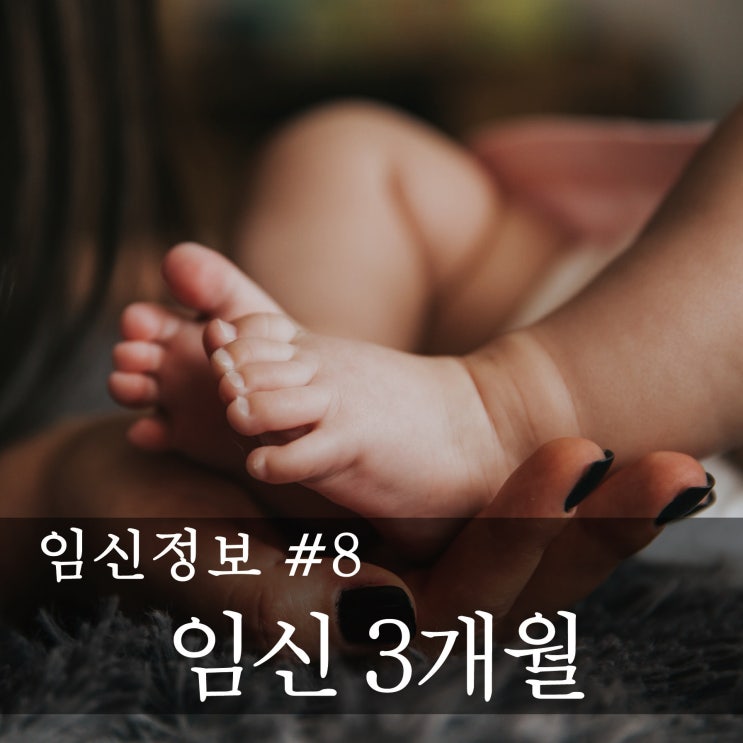 [임신정보] 예비 엄마,아빠의 임신공부  -임신 초기 (임신 8주~12주)