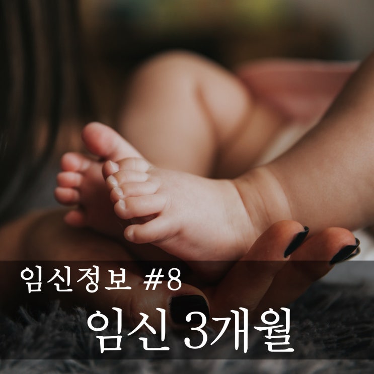  [임신정보] 예비 엄마,아빠의 임신공부  -임신 초기 (임신 8주~12주)