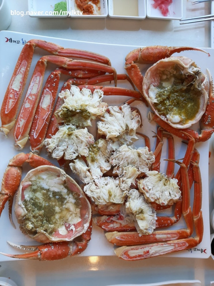  일산 맛집: 일산 풍동 대게 맛집: 진심인게야: 대게가격 Snow crab