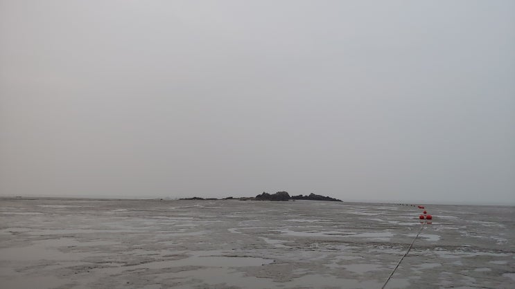 서해안 갯벌 강화도 석모도 민머루해수욕장 갯벌 체험 서해안 갯벌 강화도 석모도 민머루해수욕장 갯벌 체험