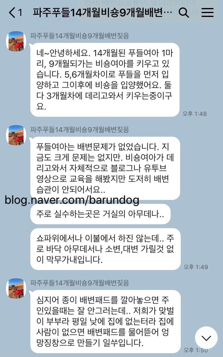 강아지배변교육 받고싶은데 혹시 강아지와 있는시간이 적은데도 배변가리기 교정되나요? : 네이버 블로그
