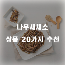  하루의 건강한 시작은 나무새채소부터 시작입니다!