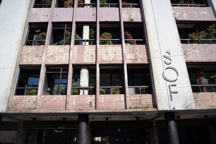  대만 타이중 호텔: 타이중 시내 위치 좋은 감성 숙소 소프호텔(SOF Hotel)