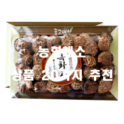  가성비 좋은 농협채소 모음