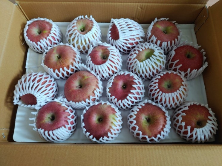 명절사과선물 영주사과 맛있는영주풍기사과 5kg 후기 명절사과선물 영주사과 맛있는영주풍기사과 5kg 후기