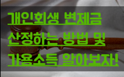  [안양,평촌 개인회생] 개인회생 변제금 산정하는 방법 및 가용소득 알아보자!