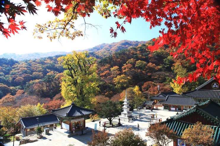  한국의 여행지