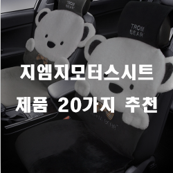  편안한 좌석을 위해 지엠지모터스시트를 구매해보세요