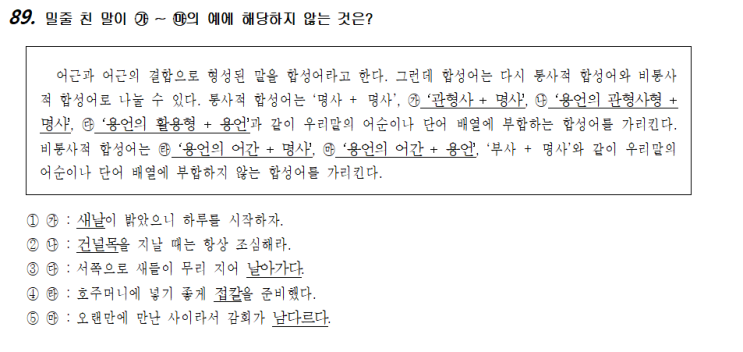  국어-화작문45(단어)