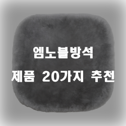  더욱 더 편안해진 엠노블방석 추천 제품