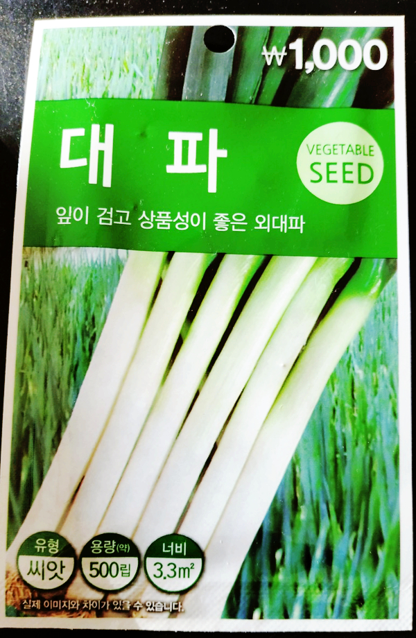  대파를 집에서 키울수 있을까?