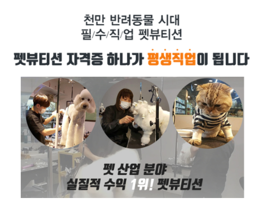 애견미용자격증 취득 후 빠른 취업 위해 내가 할 일