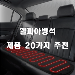  어떤 차와도 어울리는 웰피아방석 추천