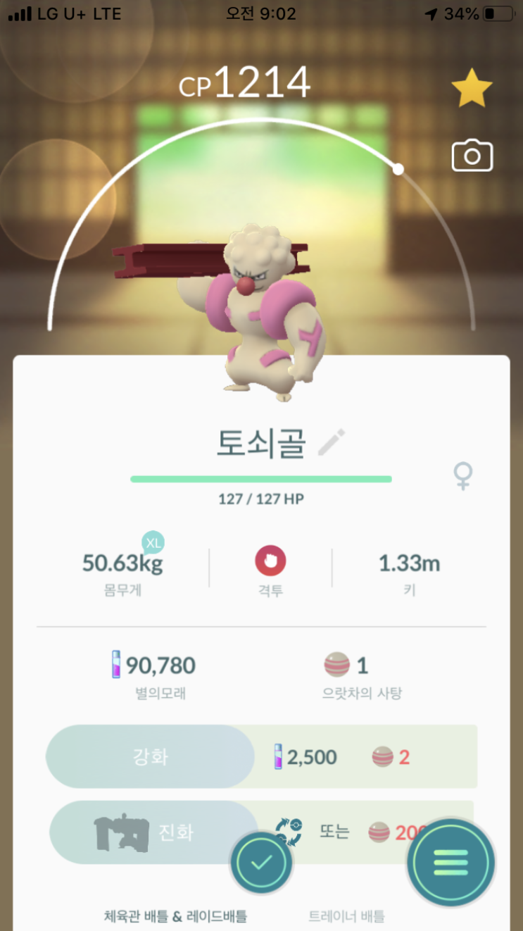  토쇠골