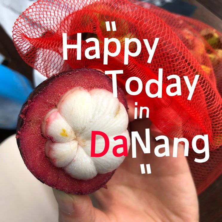  다낭.Day2.다낭호텔노보텔, 다낭롯데마트앱쇼핑SPEEDL, 다한스파, 호이안올드타운호텔 아틀라스호이안, 올드타운카페(Faifo Coffee), 올드타운맛집포슈아, 올드타운라이브바