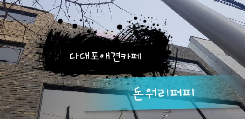 사진 4