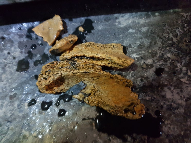  싱크대하수도 막힘 화장실 하수도 막힘 유트랩이 문제?