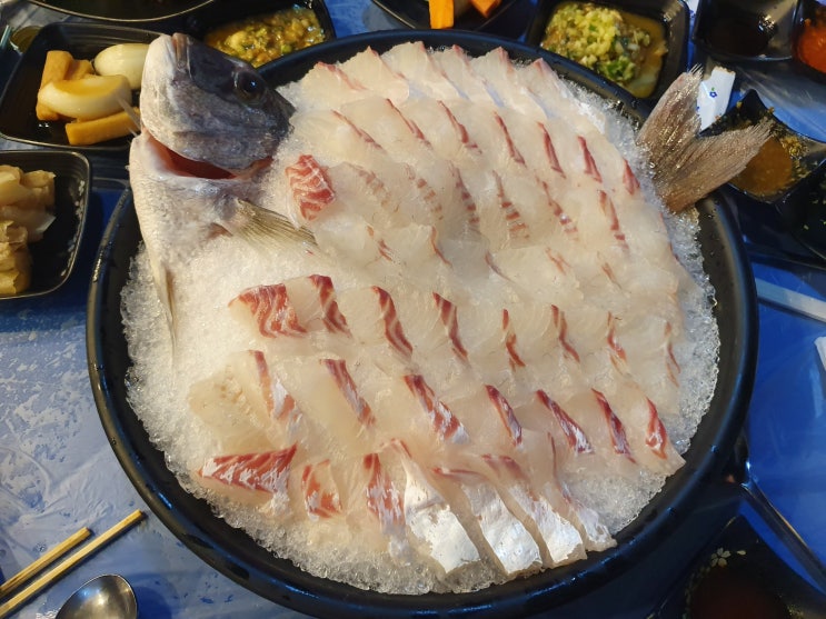 함덕맛집 오늘도회는뜬다 모둠회로 재방문 리얼후기 함덕맛집 오늘도회는뜬다 모둠회로 재방문 리얼후기