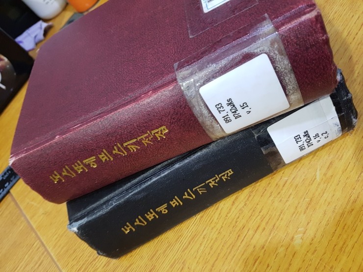  도스토예프스키의 [백치]를 읽고.