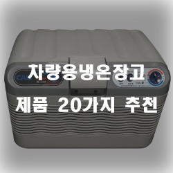  후회없는 차량용냉온장고 상품들 20가지!