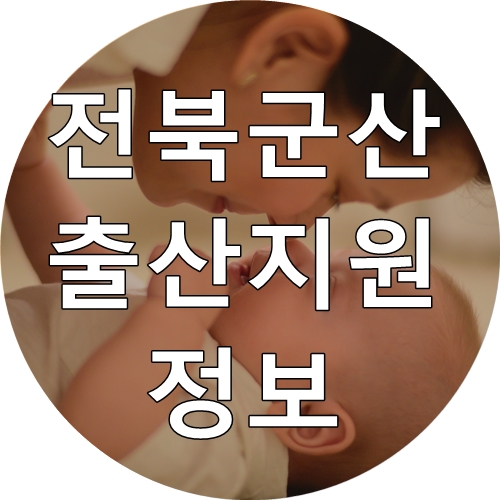 [임신/출산] 전라북도 2020년 군산시 출산지원 육아지원 정보 공유