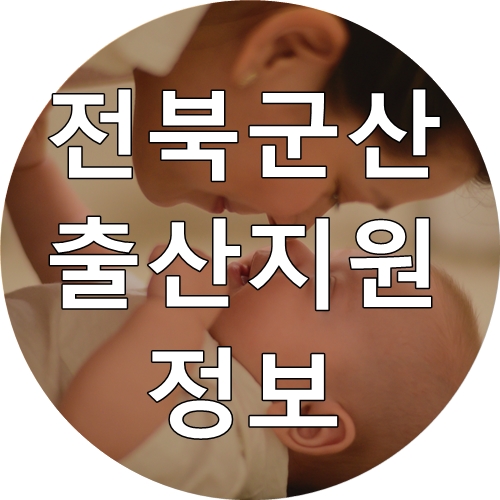  [임신/출산] 전라북도 2020년 군산시 출산지원 육아지원 정보 공유
