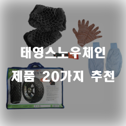 저렴한 태영스노우체인 제품 추천