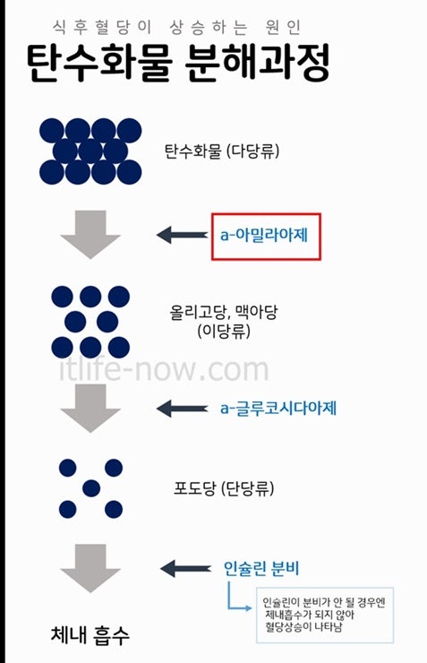 복합 식품이 혈당 관리에 대한 우려의 원인이 되는 이유는 무엇입니까?