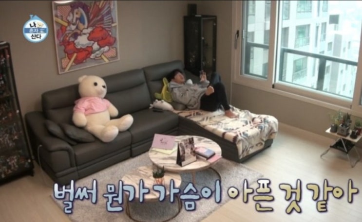  나혼산 이시언 쇼파