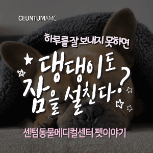  [동물뉴스]댕댕이도 하루를 잘 보내지 못하면 잠을 설친다? (부산분과전문동물병원, 365일연중무휴)