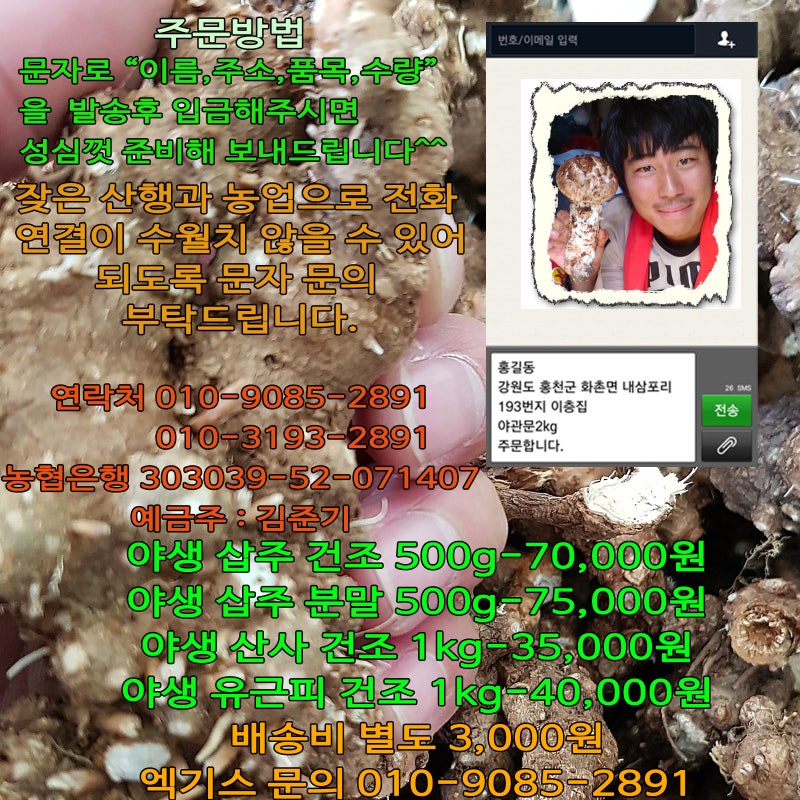야생 삽주 효능 창출, 백출 삽주차 6