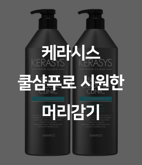  저렴한 케라시스 쿨샴푸로 머리를 시원하게~