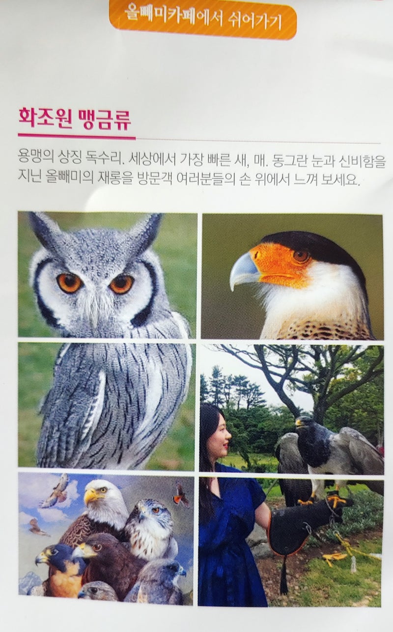 화조원 : 네이버 블로그