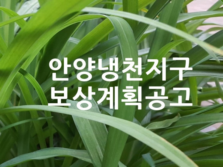  안양냉천지구 주거환경개선사업 현금청산자 토지 등 보상계획 공고