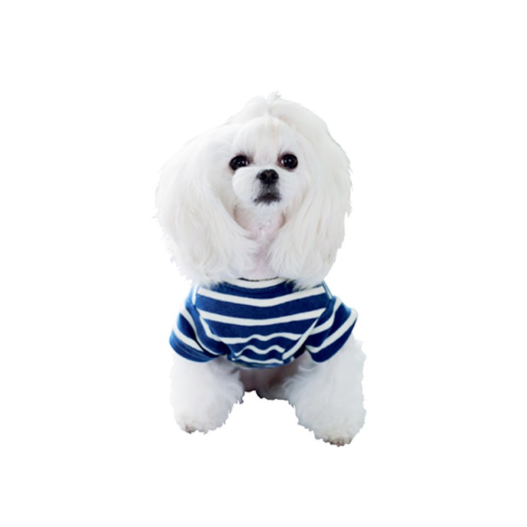 [상품정보] 앙블리 강아지 스트라이프 티셔츠 블루