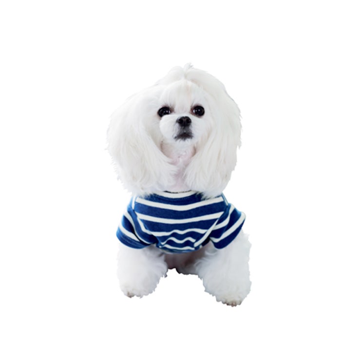  [상품정보] 앙블리 강아지 스트라이프 티셔츠 블루