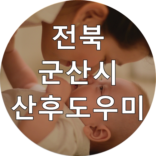 [임신/출산] 2020년 전북 군산시 산모/신생아 건강관리지원(산후도우미)