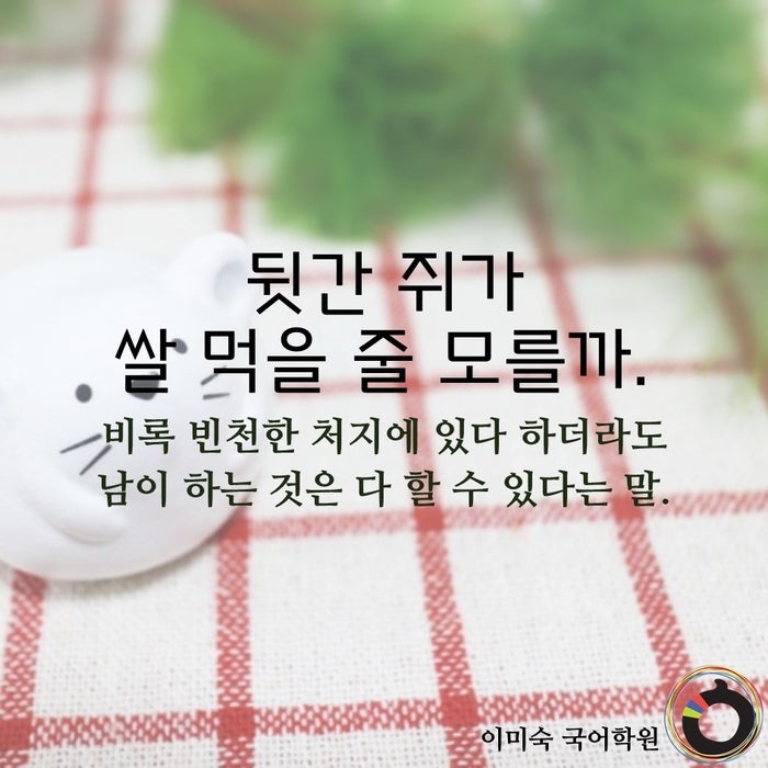 우리가 잘 몰랐던 쥐 관련 속담 10가지 : 네이버 블로그 우리가 잘 몰랐던 쥐 관련 속담 10가지 : 네이버 블로그