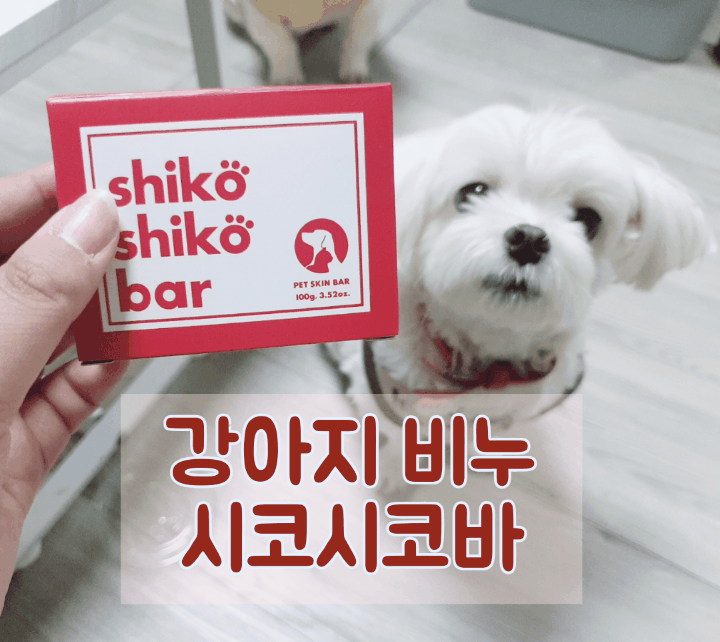  강아지비누 시코시코바 샴푸바로 묵은때 굿바이!