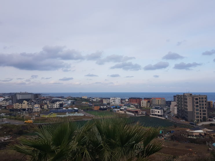  제주도애월펜션 드림하우스 캐슬블랙스톤