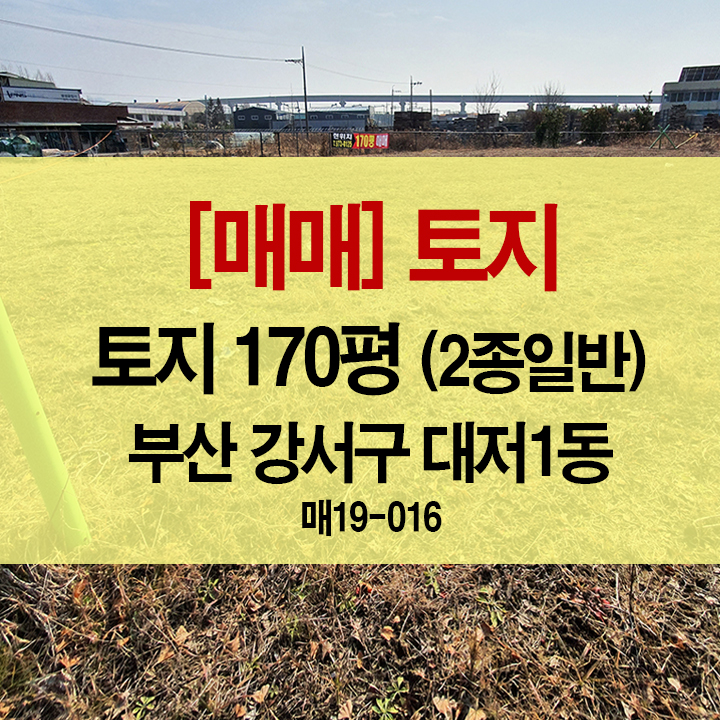  [매매](실사컷) 토지 170평 (2종일반주거) / 부산 강서구 대저1동 평강역 근방 2차선 나대지 [대저랜드 복성공인]